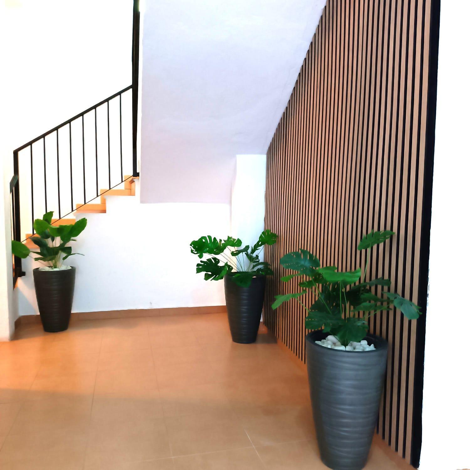 Apartamentos Calle Nueva Málaga Dış mekan fotoğraf
