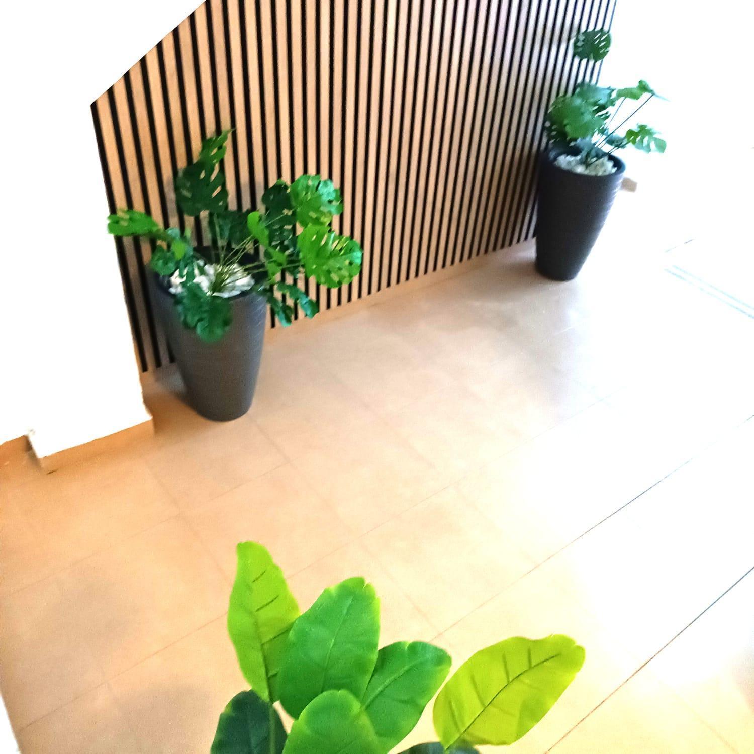 Apartamentos Calle Nueva Málaga Dış mekan fotoğraf